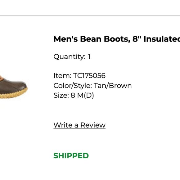 Boots